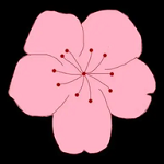 WWW,se847·COM网站APPAPP应用